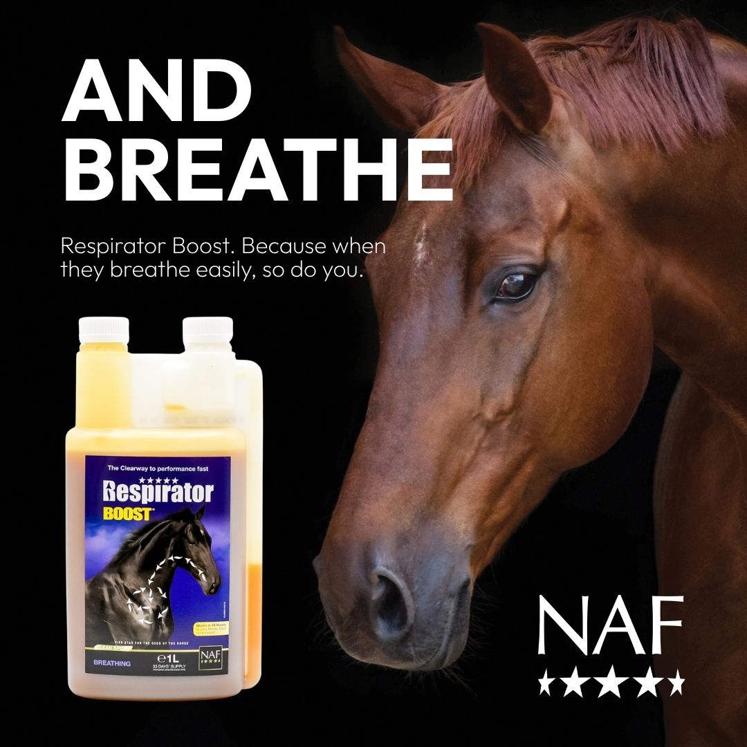 NAF Five Star Respirator Boost 1 Litre bottle with a horse in the background — available at Feedem Pet Supermarket