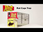 The Big Cheese Rat Cage Trap