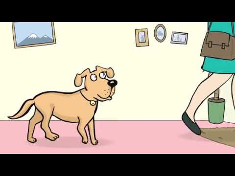 YuCALM Calming Supplement For Dogs 60 Pack