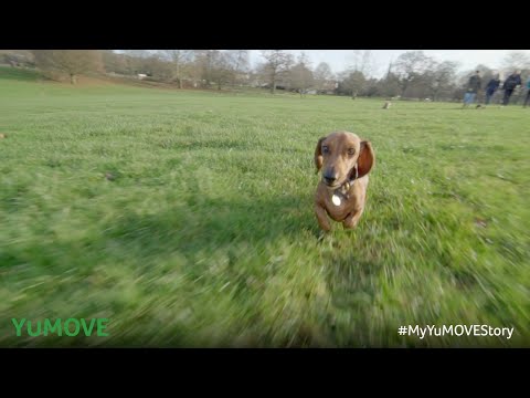 YuMove Young & Active 60 Tablets