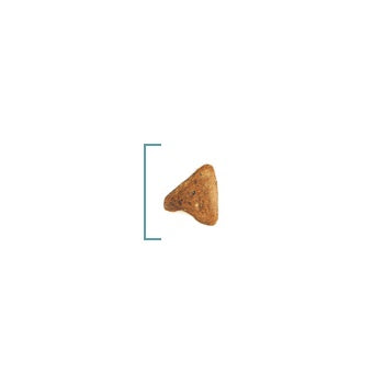 Hairball Care Dry Cat Food 4kg