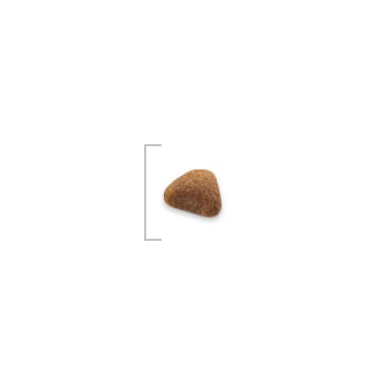 Royal Canin Indoor 27 Complete Cat Food 10kg