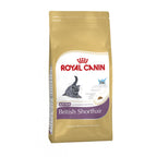 Royal Canin British Shorthair Kitten Food 10kg