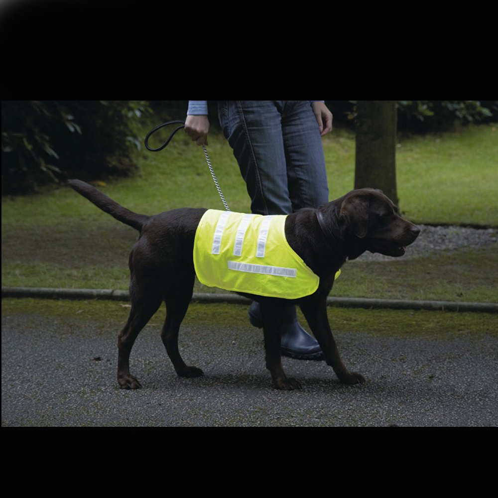 Reflective Dog Coat Yellow Small