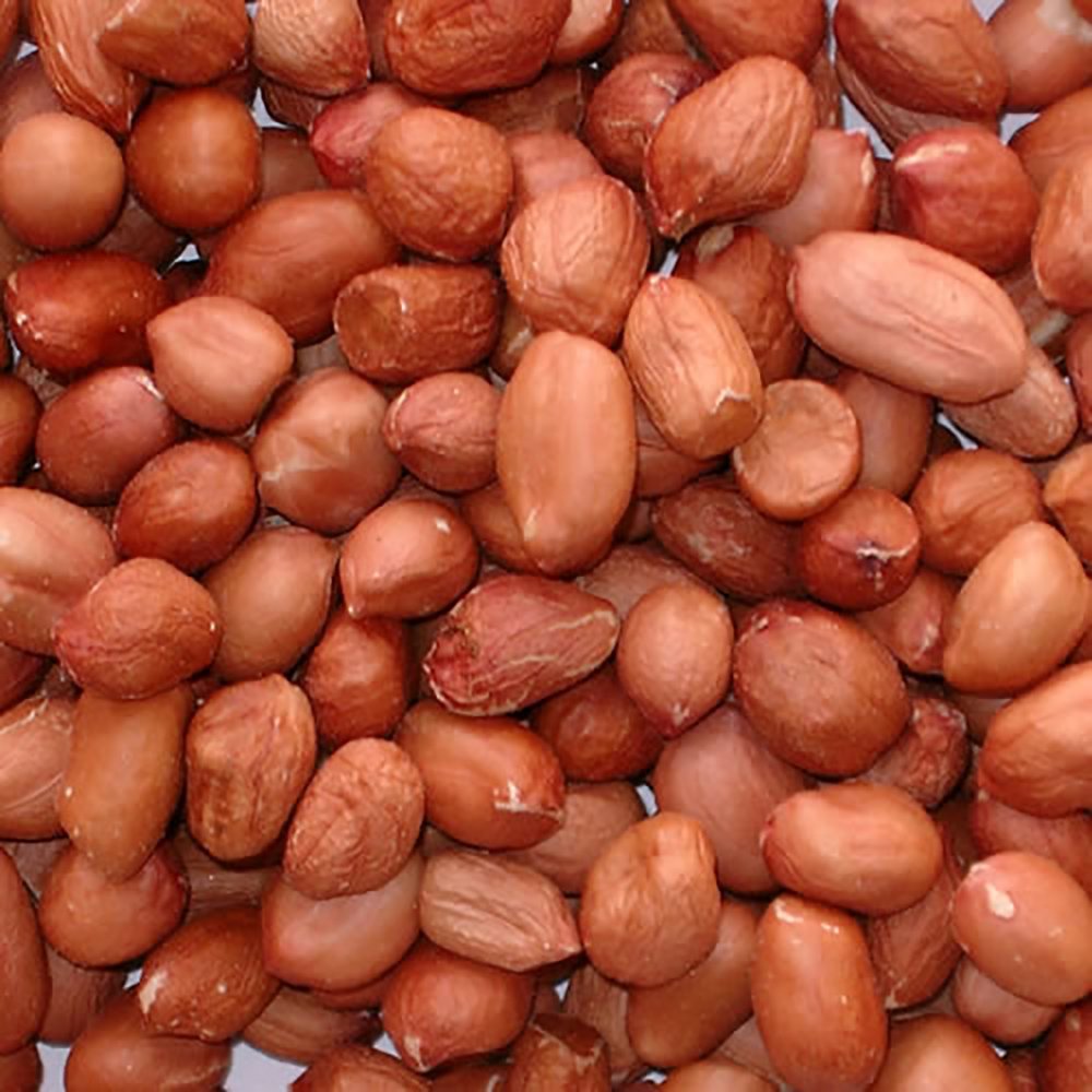 Wild Bird Peanuts 25kg