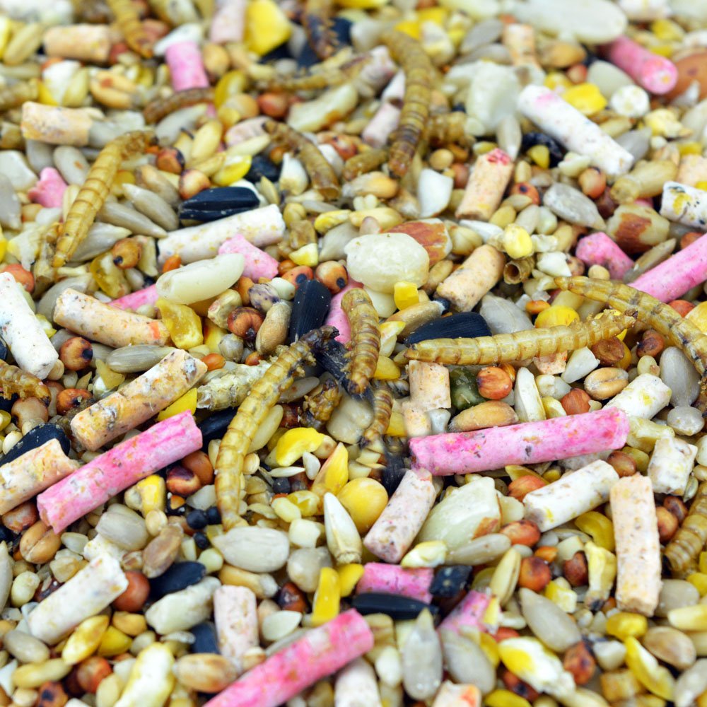 Deluxe Wild Bird Seed Mix 20kg