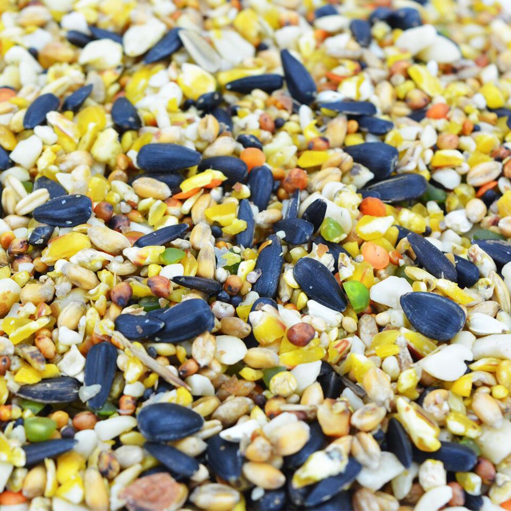 Superior + Extra Wild Bird Seed Mix 20kg