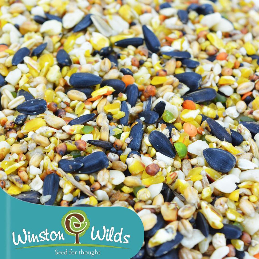 Superior + Extra Wild Bird Seed Mix 20kg