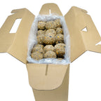 Cardboard box with a plastic bag containing round, textured objects on a white background