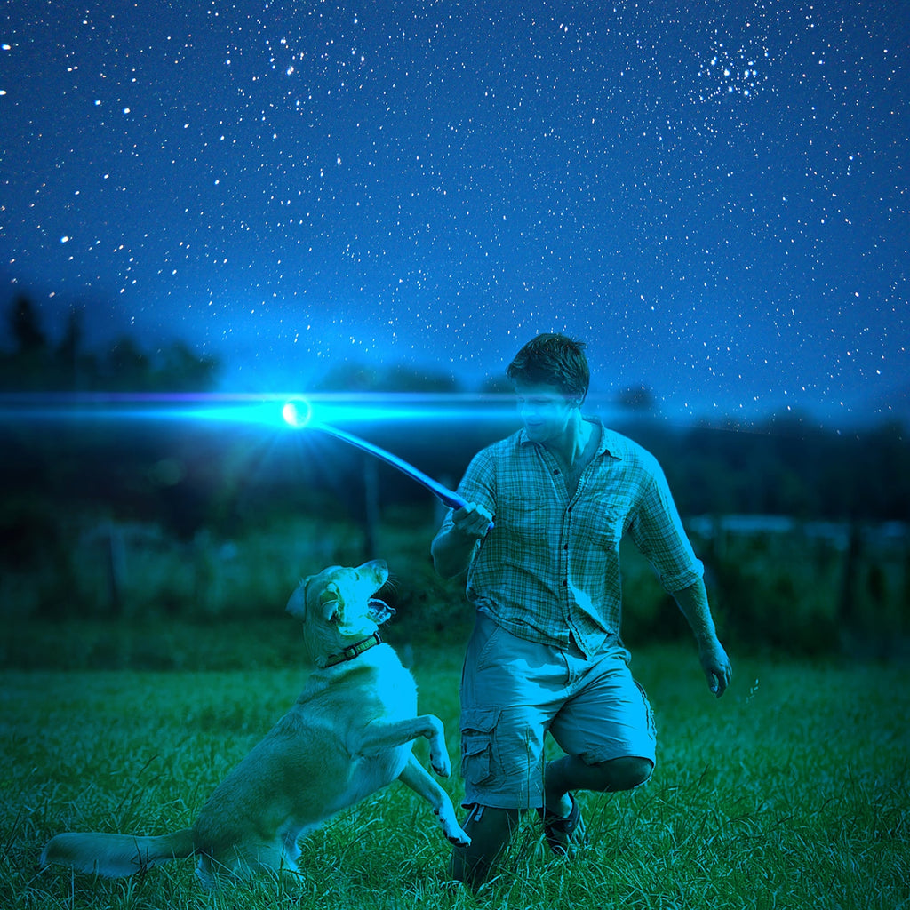 Max Glow Ball Dog Toy Small