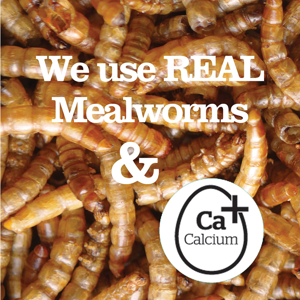 Mealworms with text 'We use REAL Mealworms & Calcium' and a calcium supplement logo.
