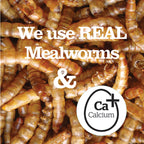 Mealworms with text 'We use REAL Mealworms & Calcium' and a calcium supplement logo.
