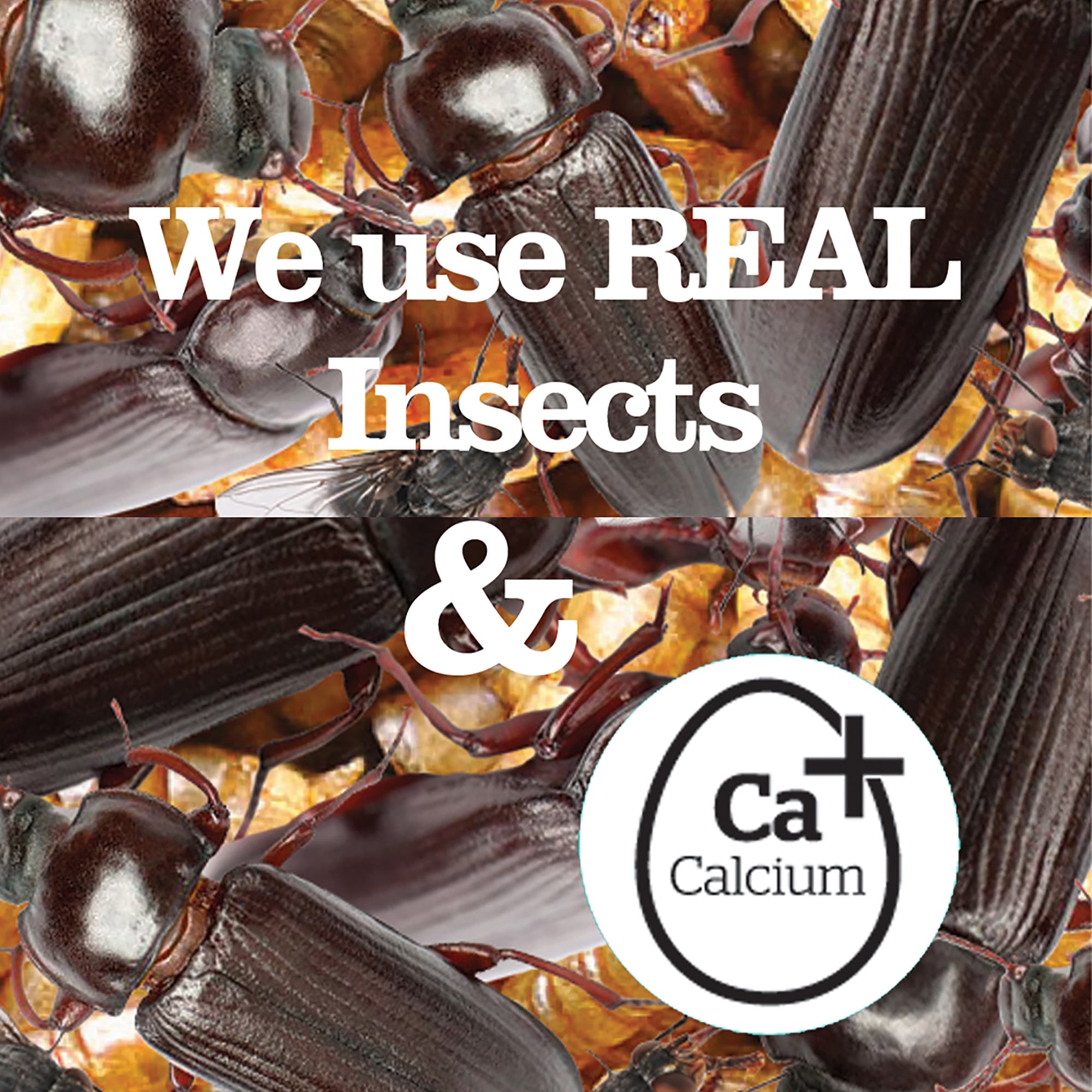 Finest Insect Suet Pellets 12.55kg