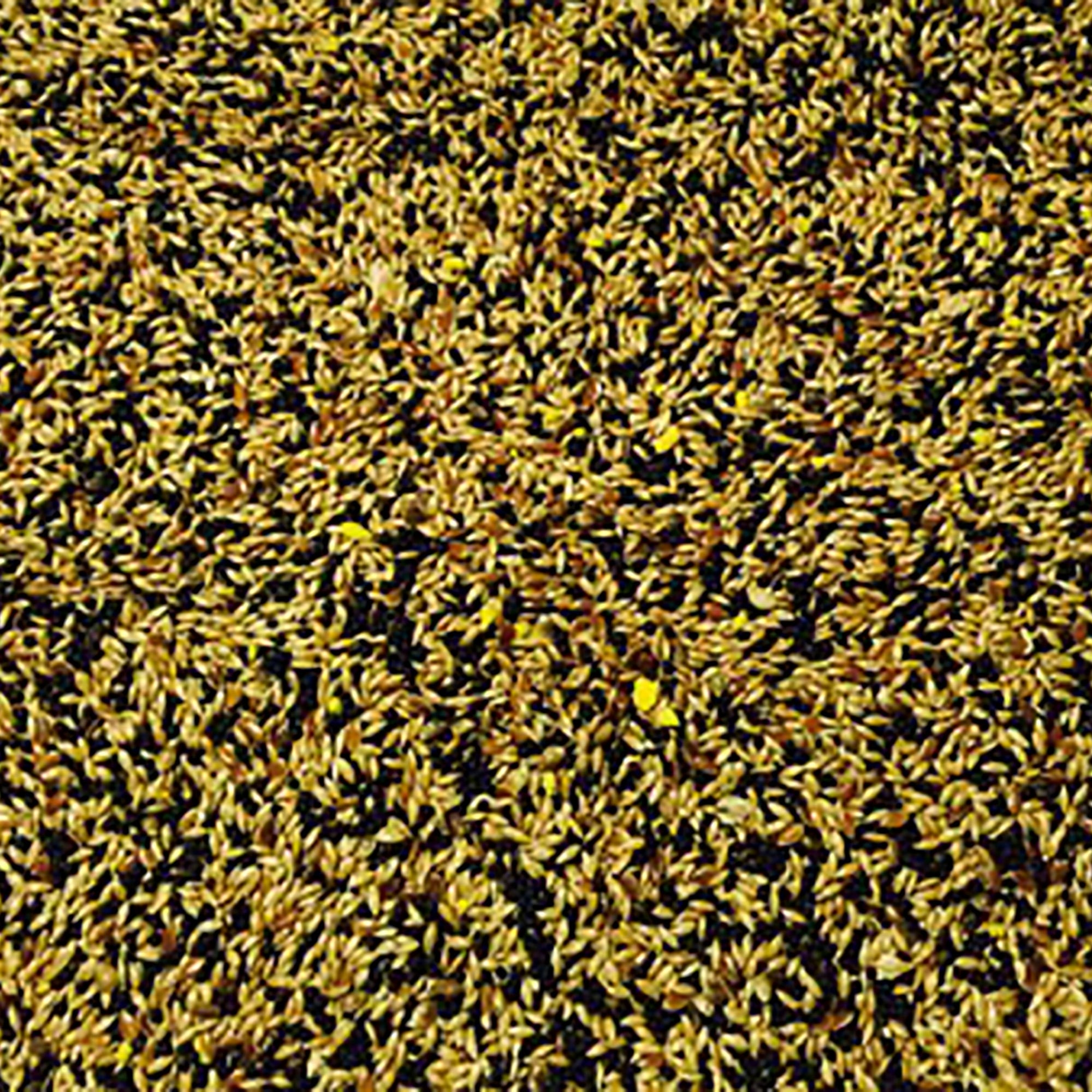 No1 Mixed Canary Seed 20kg