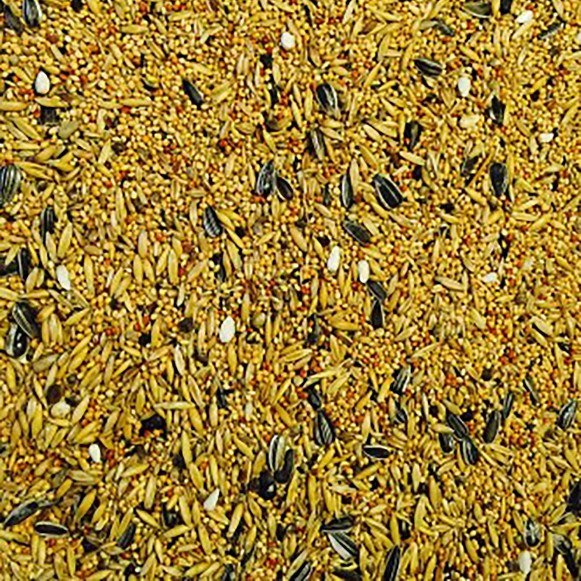 Cockateil & Lovebird Avairy Seed 20kg