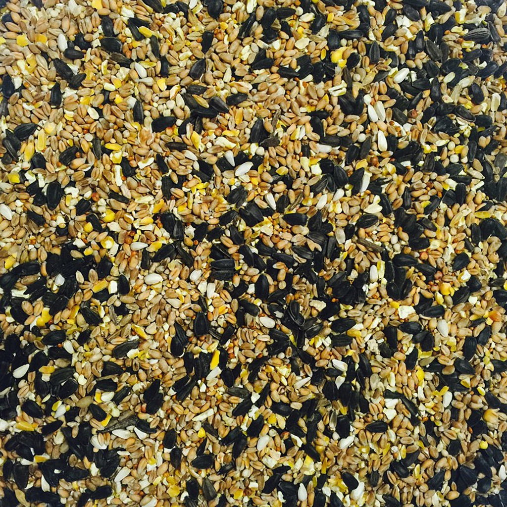 Wild Bird Seed 20kg