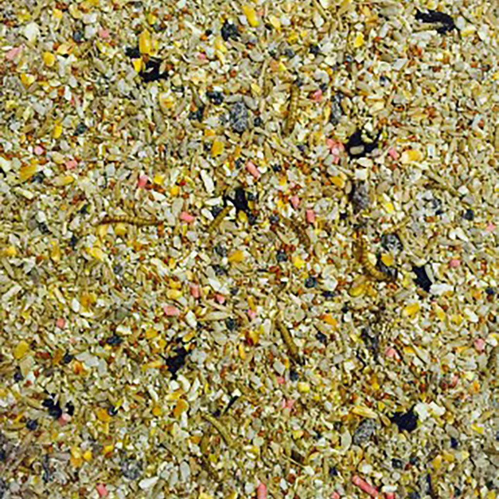 Bucktons Robin & Songbird Wild Bird Seed 12.55kg