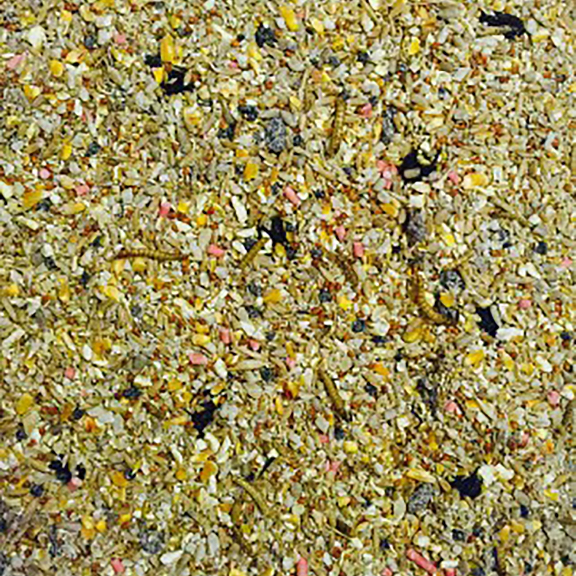 Robin & Songbird Wild Bird Seed 12.55kg