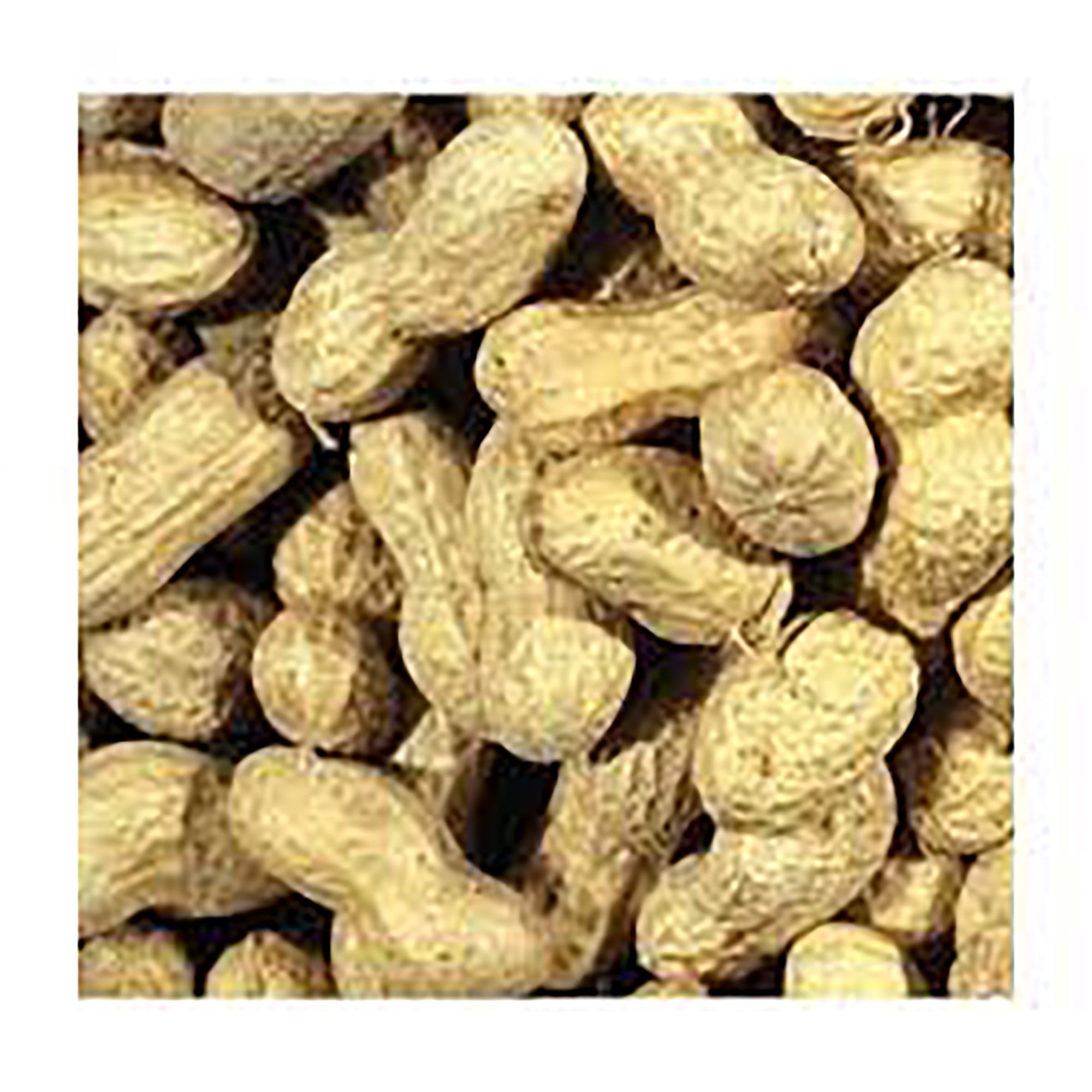 Peanuts In Shells Bird Food 12.5kg