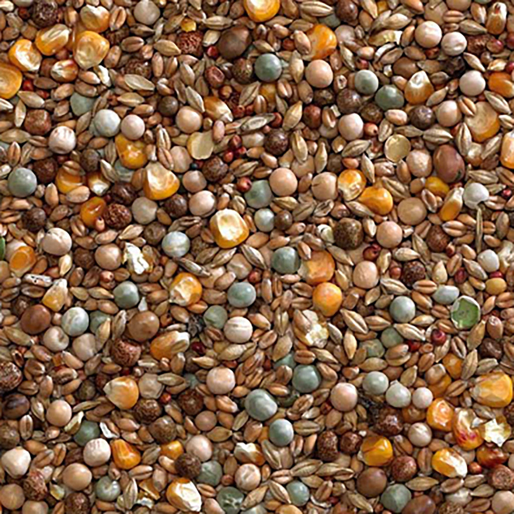 Winter Economy Mix Pigeon Seed 20kg