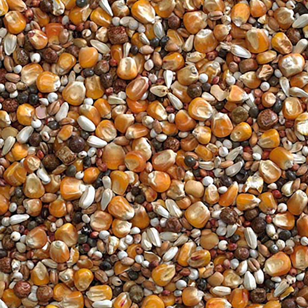 Super Widowhood Pigeon Seed 20kg