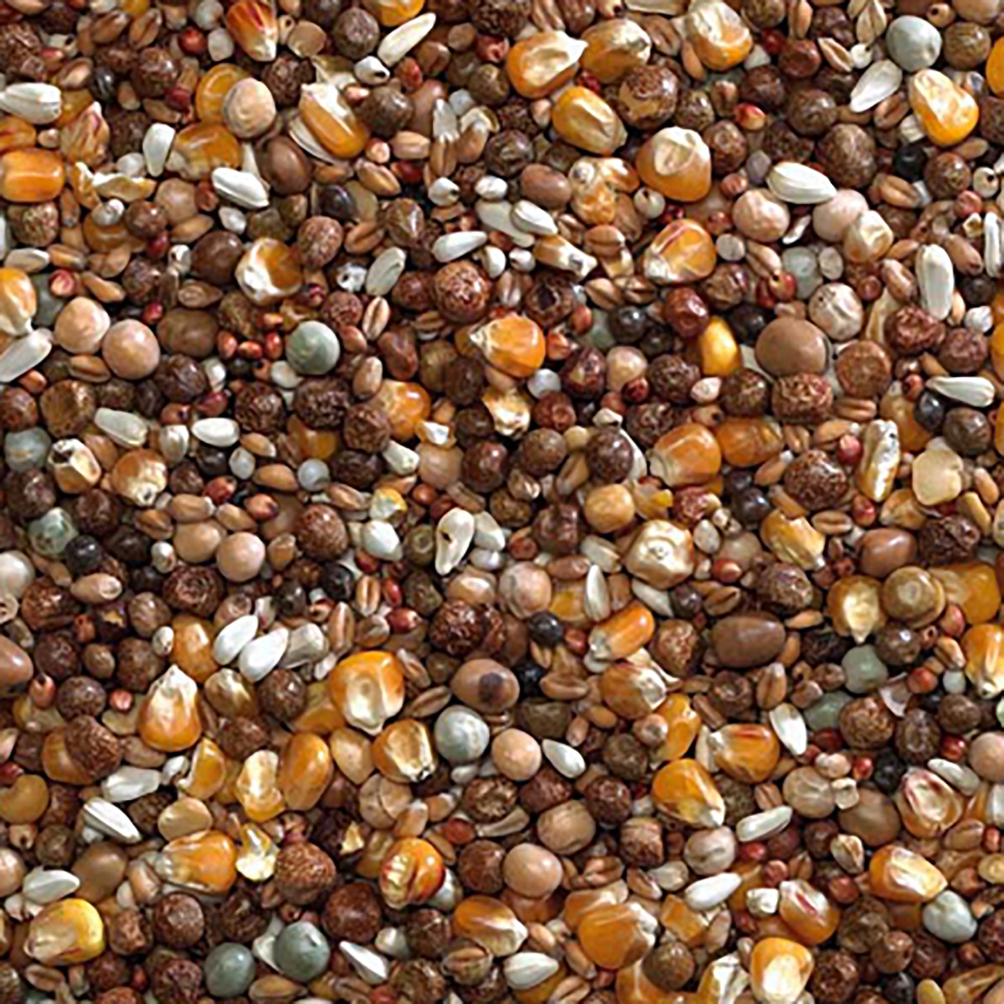 Breeding Mix Pigeon Seed 20kg