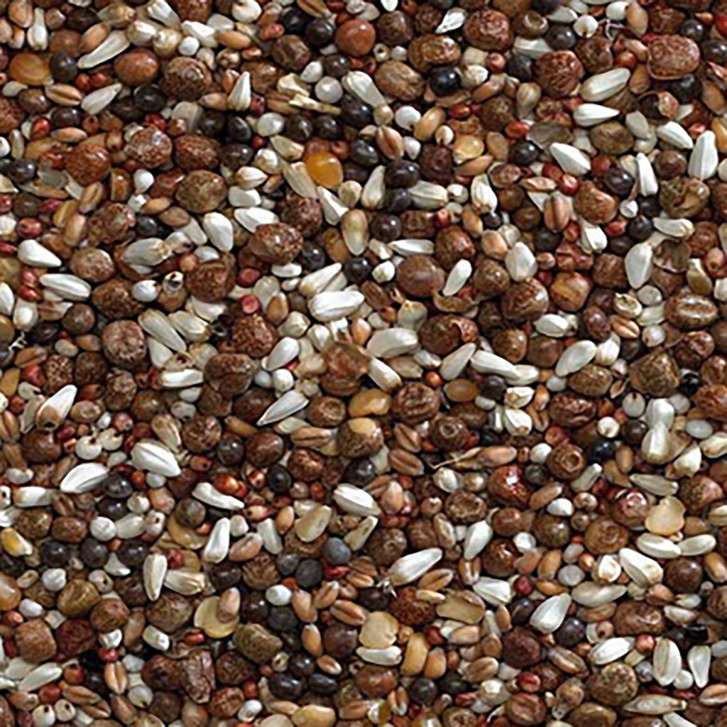 VIP Pigeon Seed 20kg