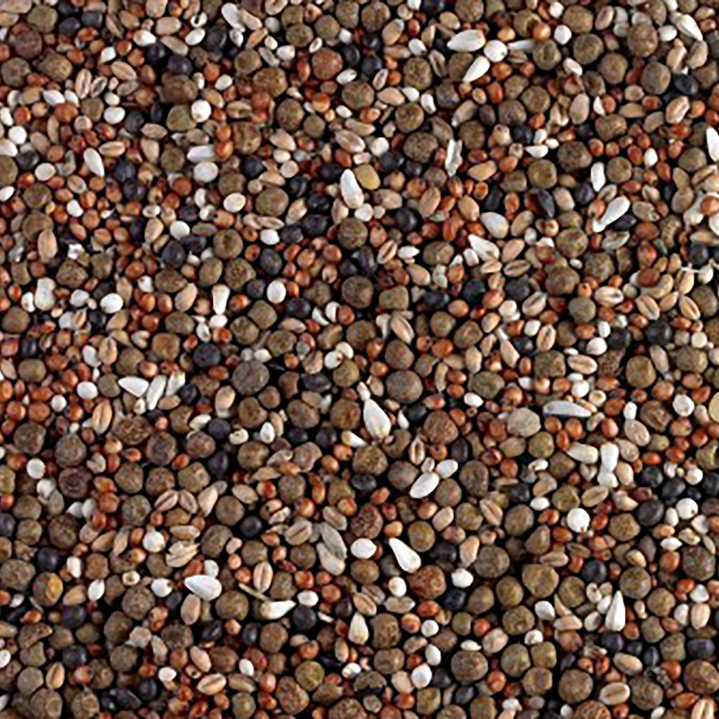 Breed & Wean Pigeon Seed 20kg