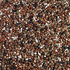 Breed & Wean Pigeon Seed 20kg