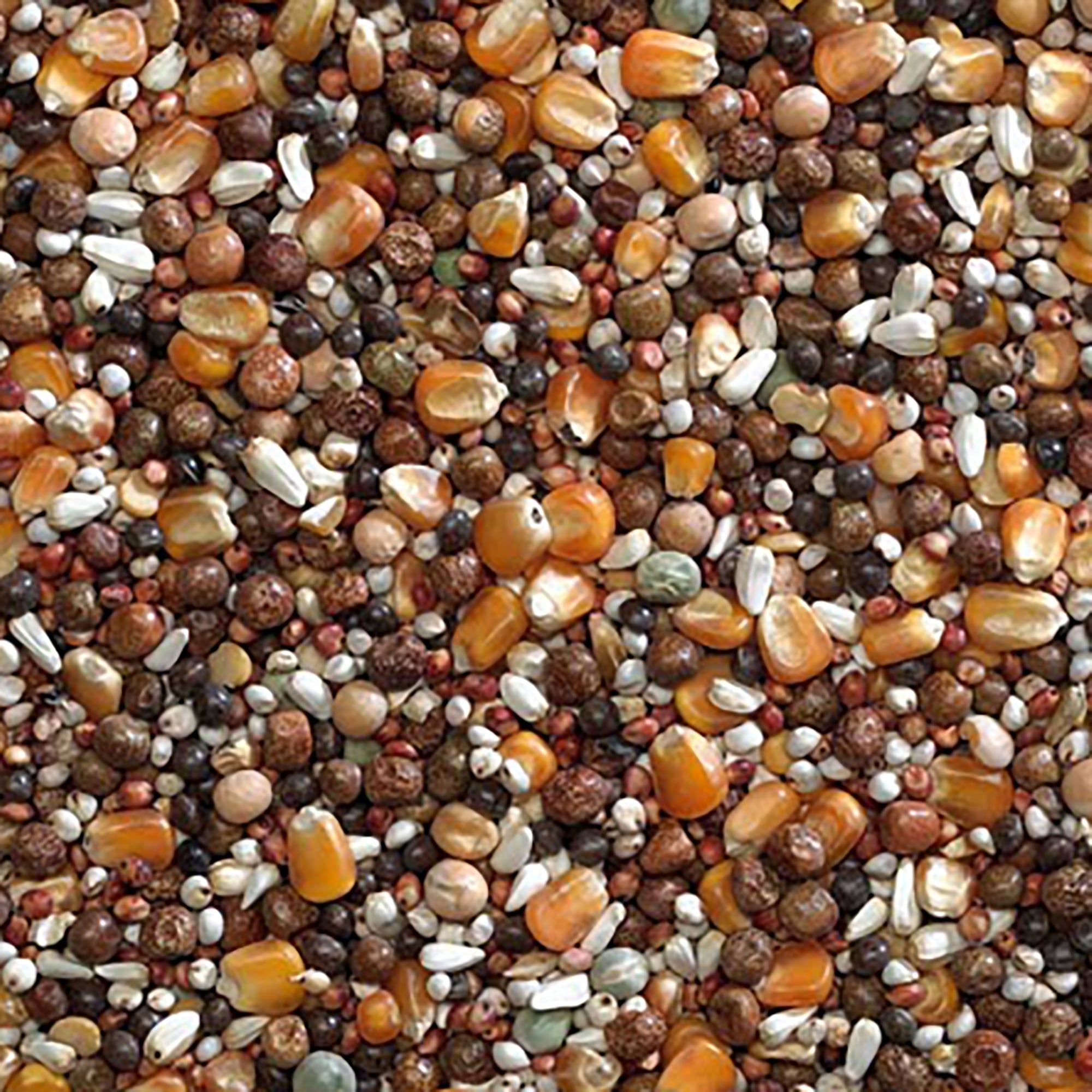 Irish Mix Pigeon Seed 20kg