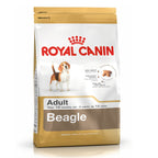 Beagle Adult Dog Food 12kg