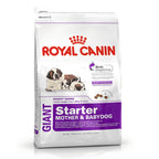 Royal Canin Giant Starter Mother & Babydog Dog Food 15kg