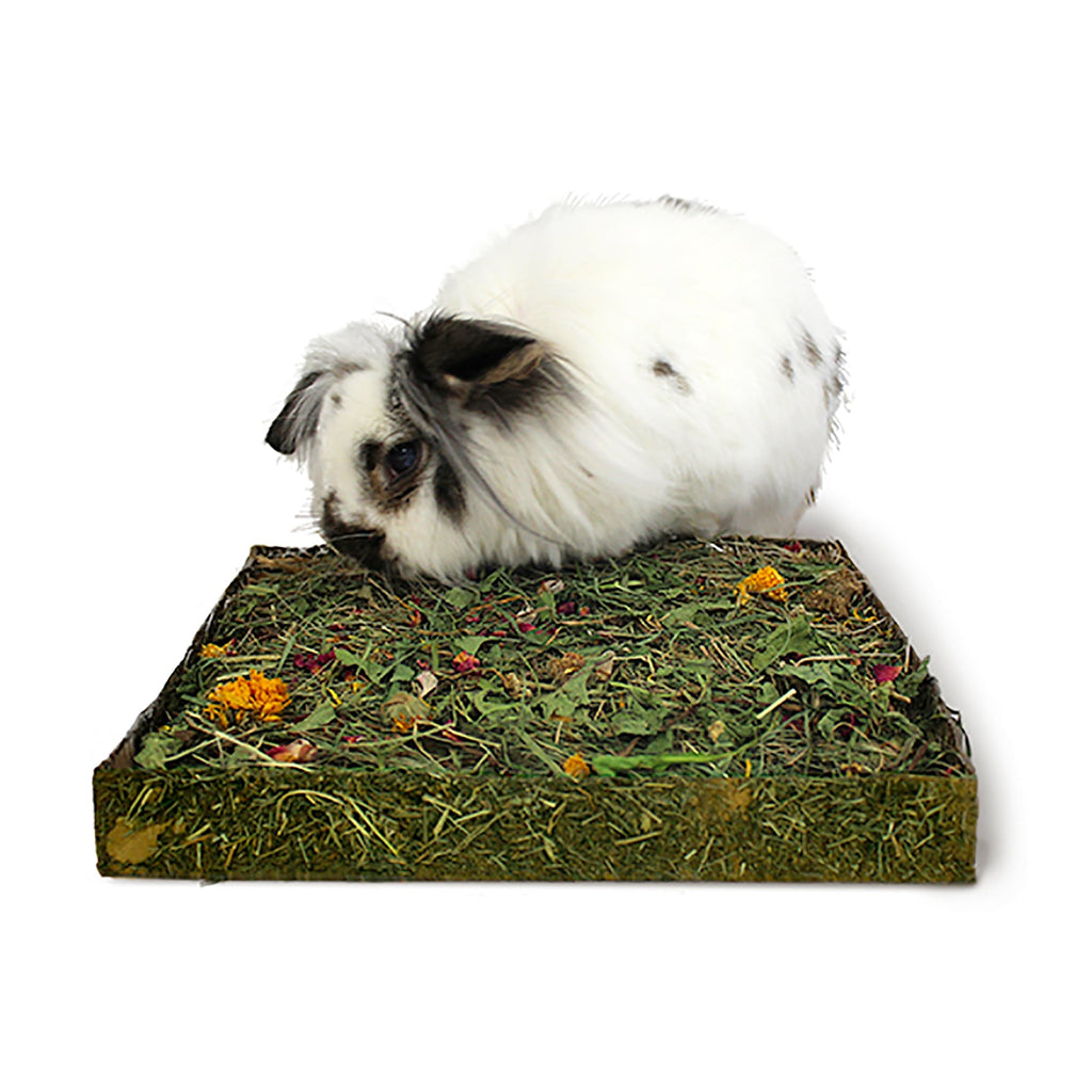 Rosewood Naturals Nibble 'N' Dig Meadow with Dandelion & Blossoms