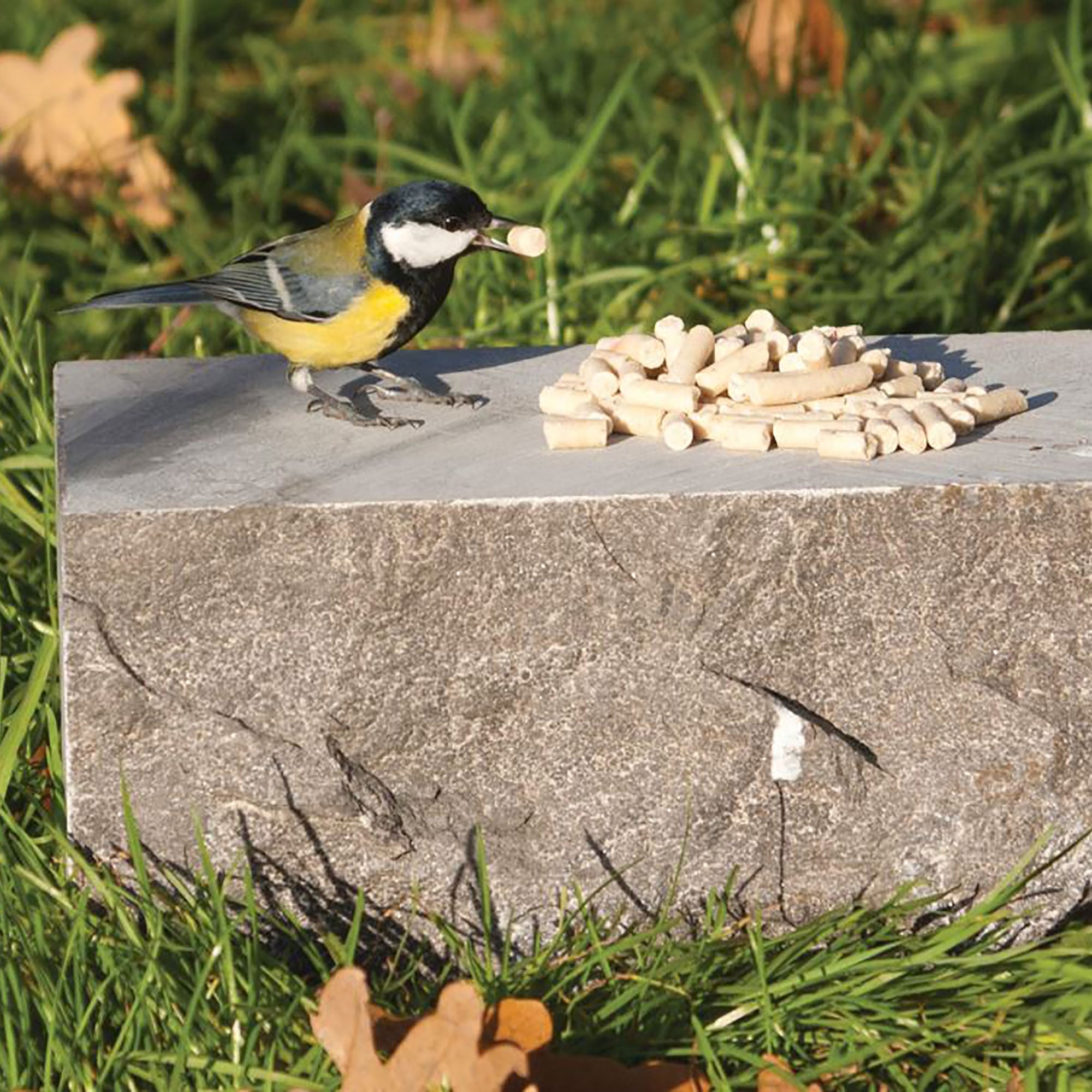 Suet To Go Mealworm Plus Wild Bird Suet Pellets 500g