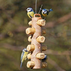 Suet To Go Suet Logs Insect & Mealworm Pack 6