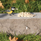 Wild Bird Suet Pellets Insect Recipe 12.55kg