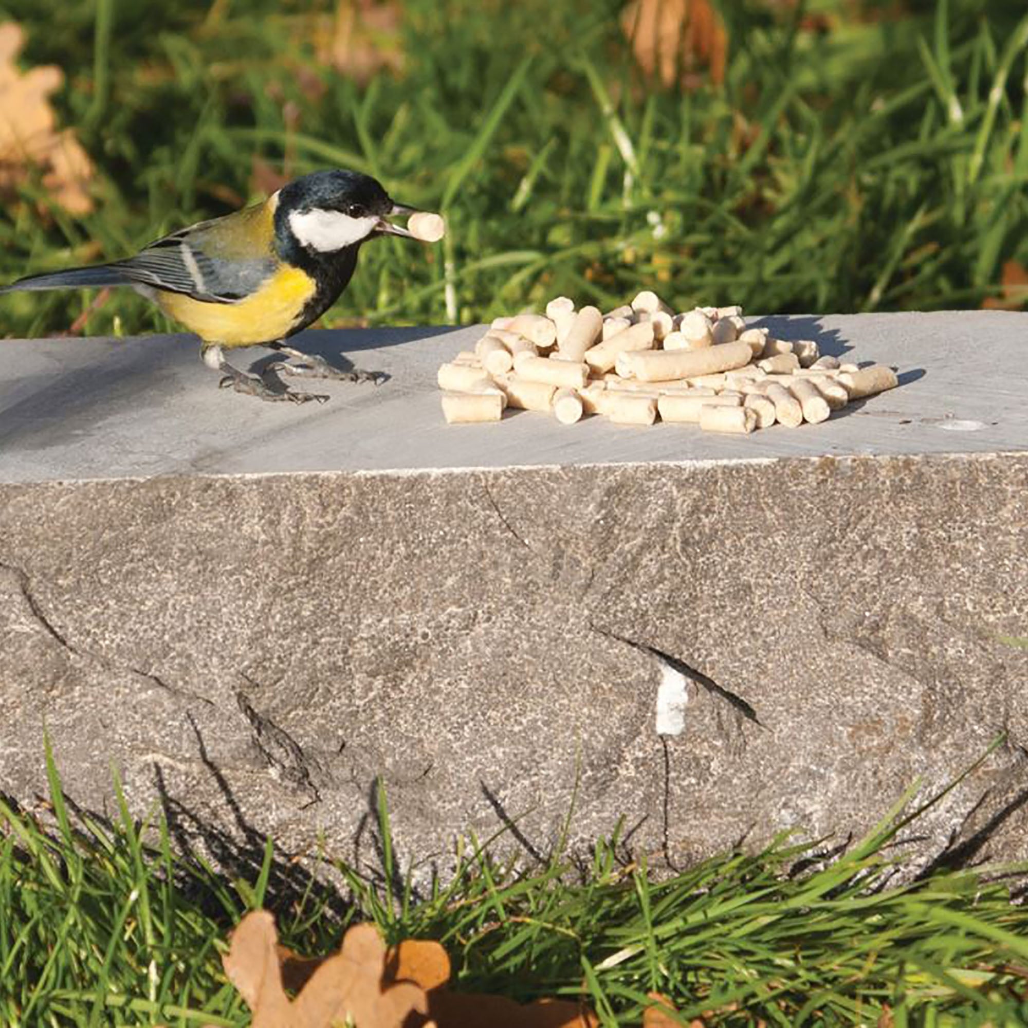 Wild Bird Suet Pellets Insect Recipe 12.55kg