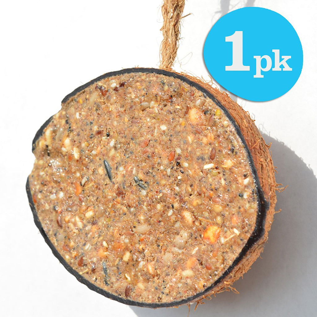 Classic CoCo Wild Bird Feeder