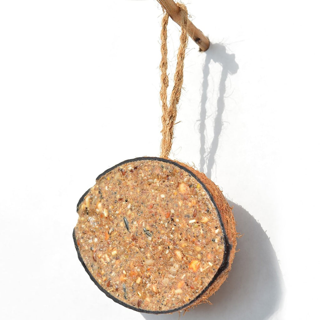 Classic CoCo Wild Bird Feeder