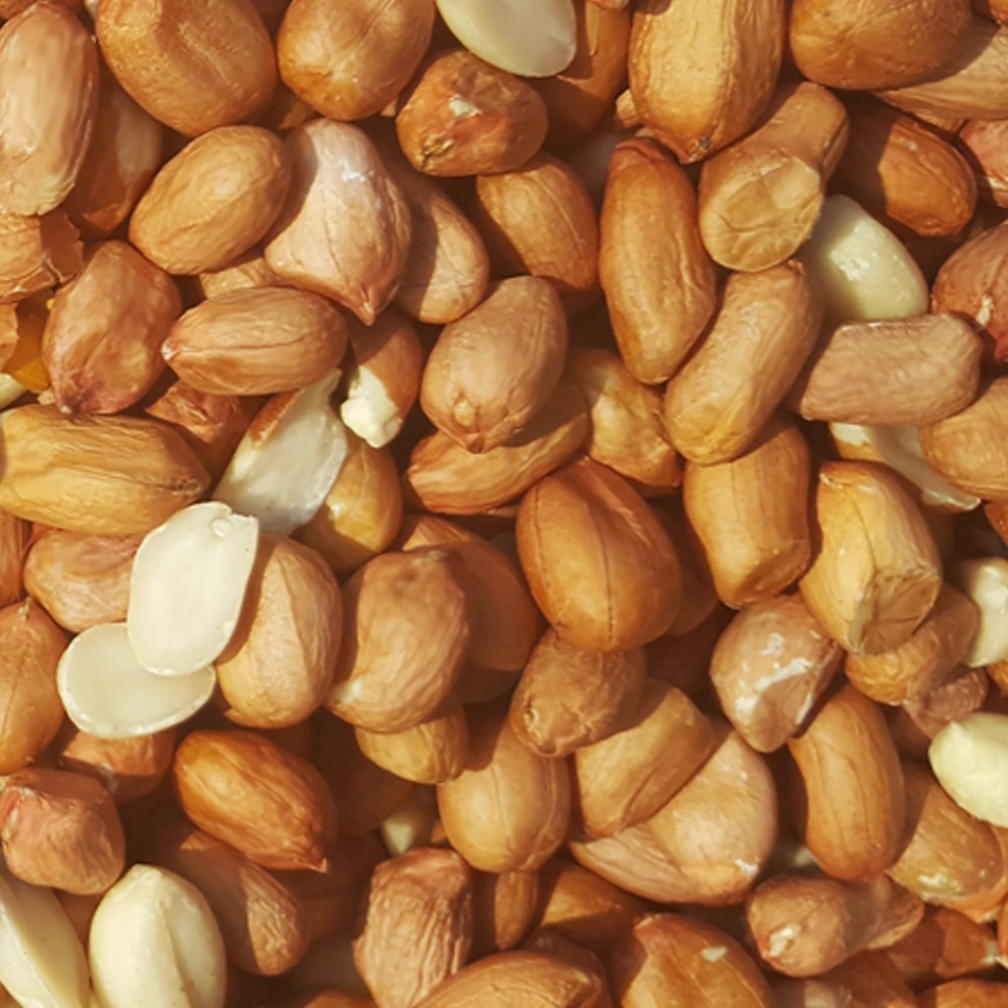 Wild Bird Peanuts 12.5kg