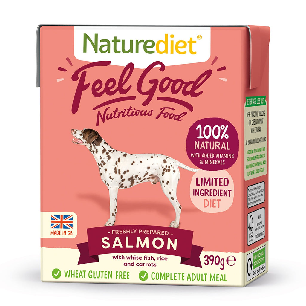 Feel Good Salmon Adult Wet Dog Food 18 x 390g