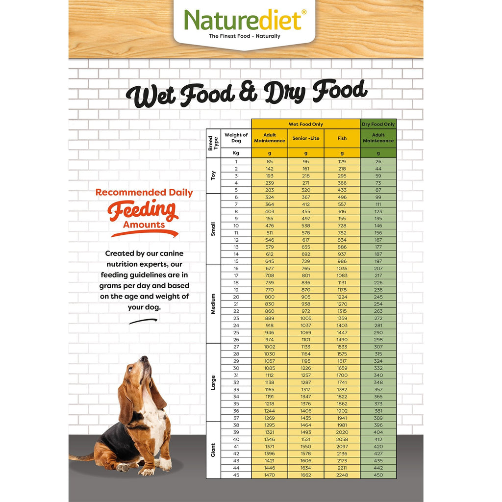 Naturesdiet Feel Good Grain Free Salmon Adult Wet Dog Food 18 x 390g