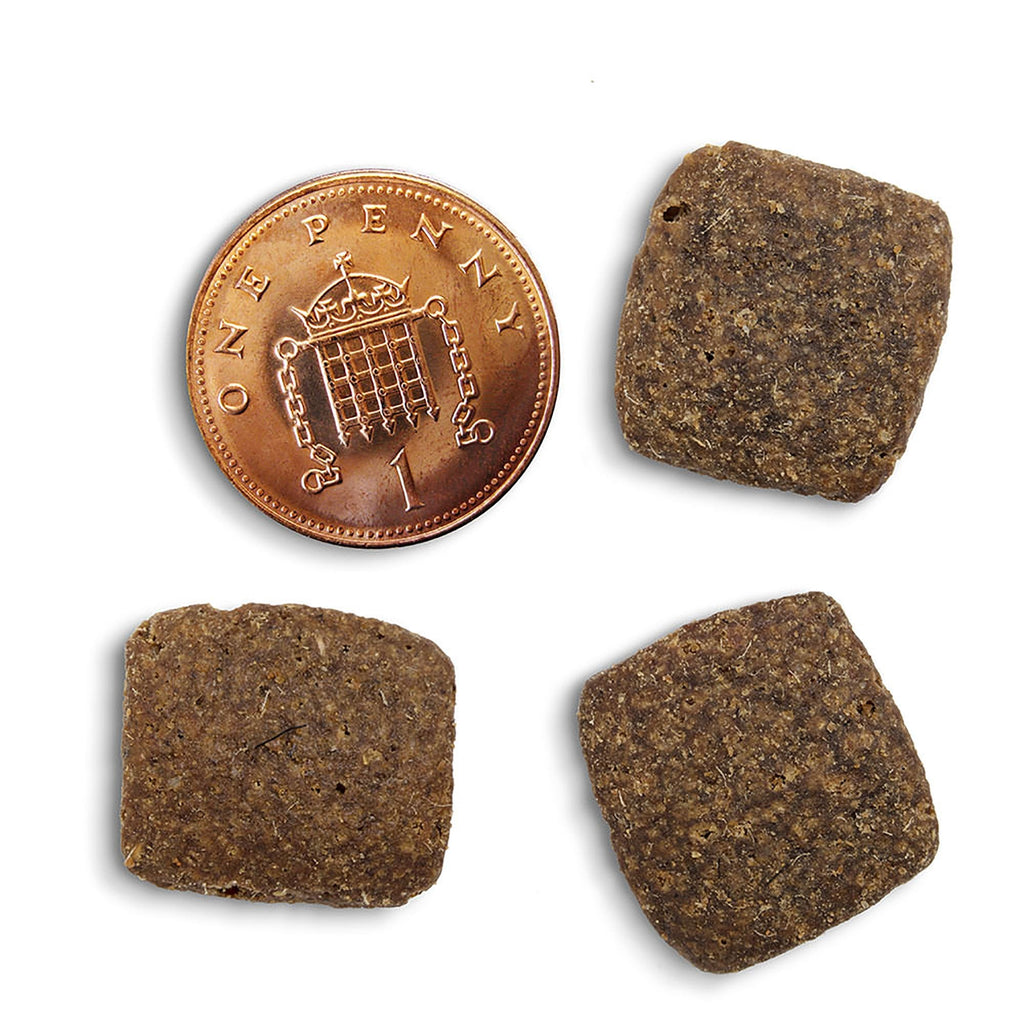 Grass-Fed Lamb Grain Free Dog Food 12kg