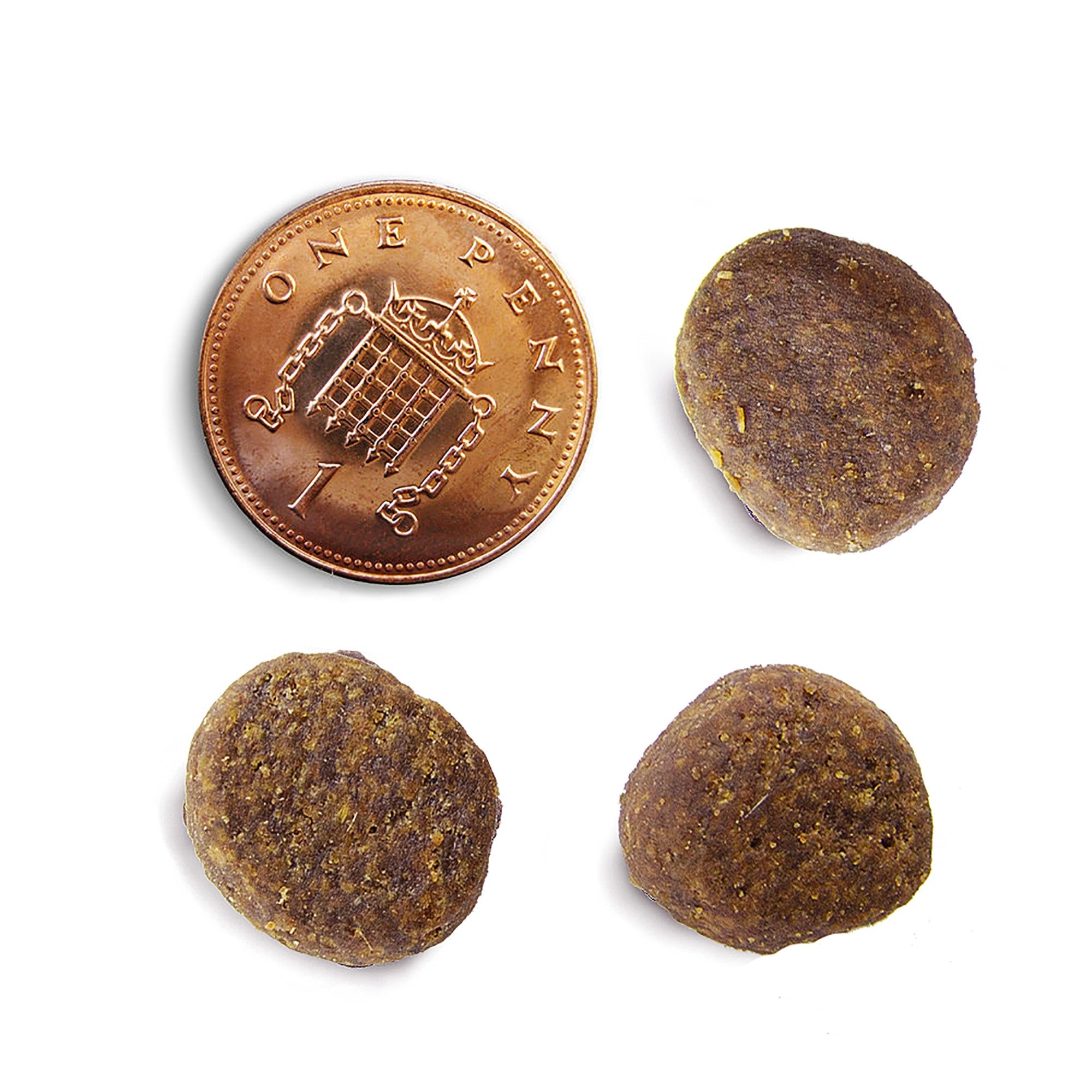 Highland Feast Grain Free Adult Dog Food 12kg