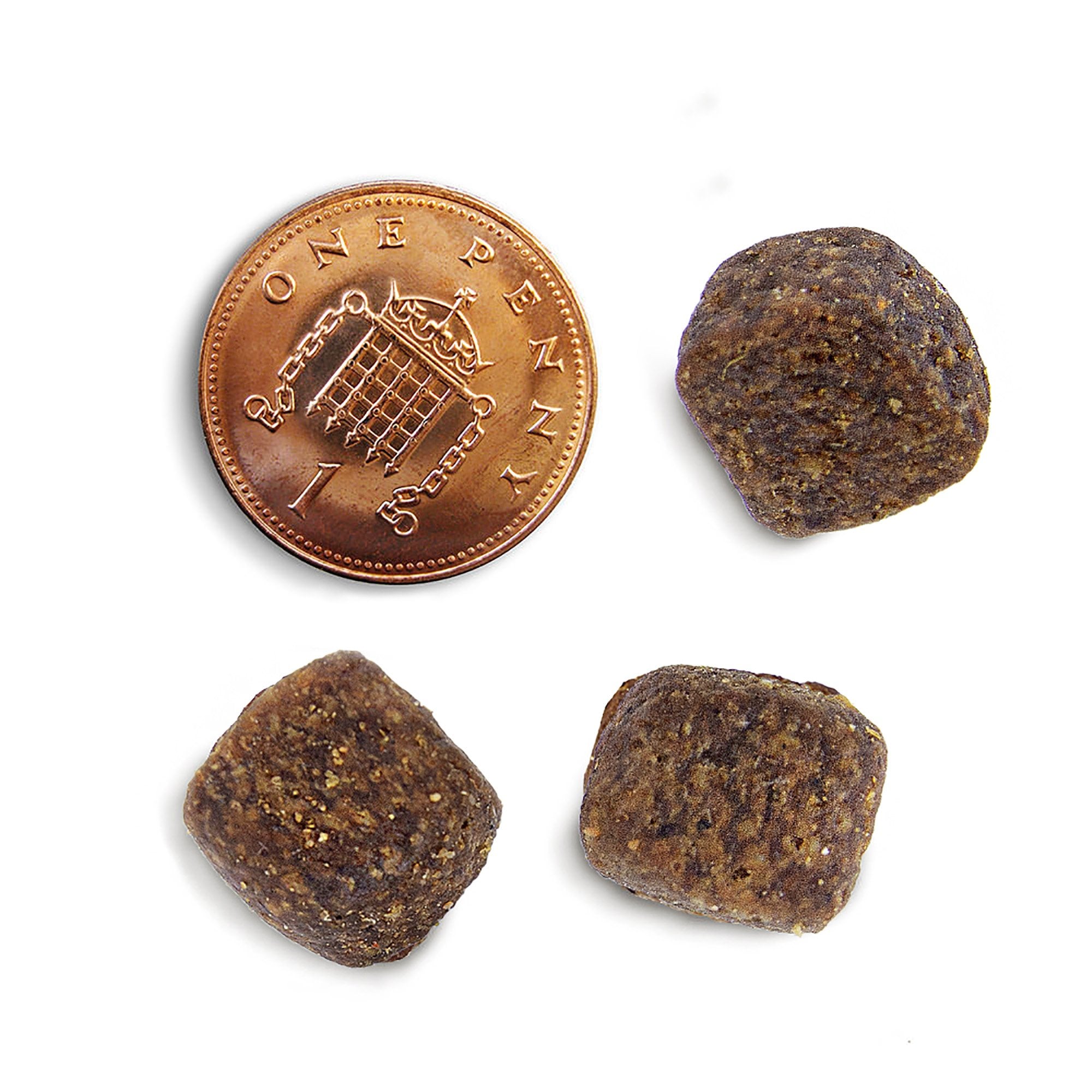 Free Run Turkey Dental Grain Free Dog Food 12kg