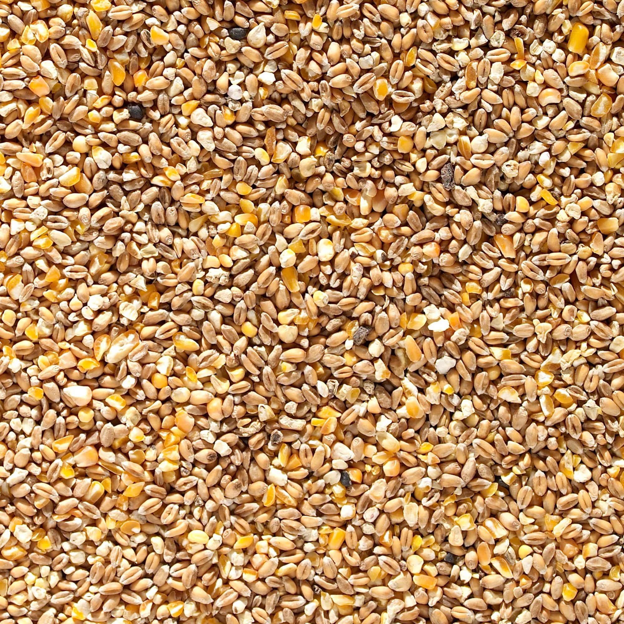 Mixed Poultry Corn 5kg