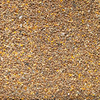 Johnston & Jeff Chicken Corn Extra with layers pellets and oyster shell grit — wheat and split maize poultry feed