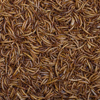 Mealworms Wild Bird Treat 500g