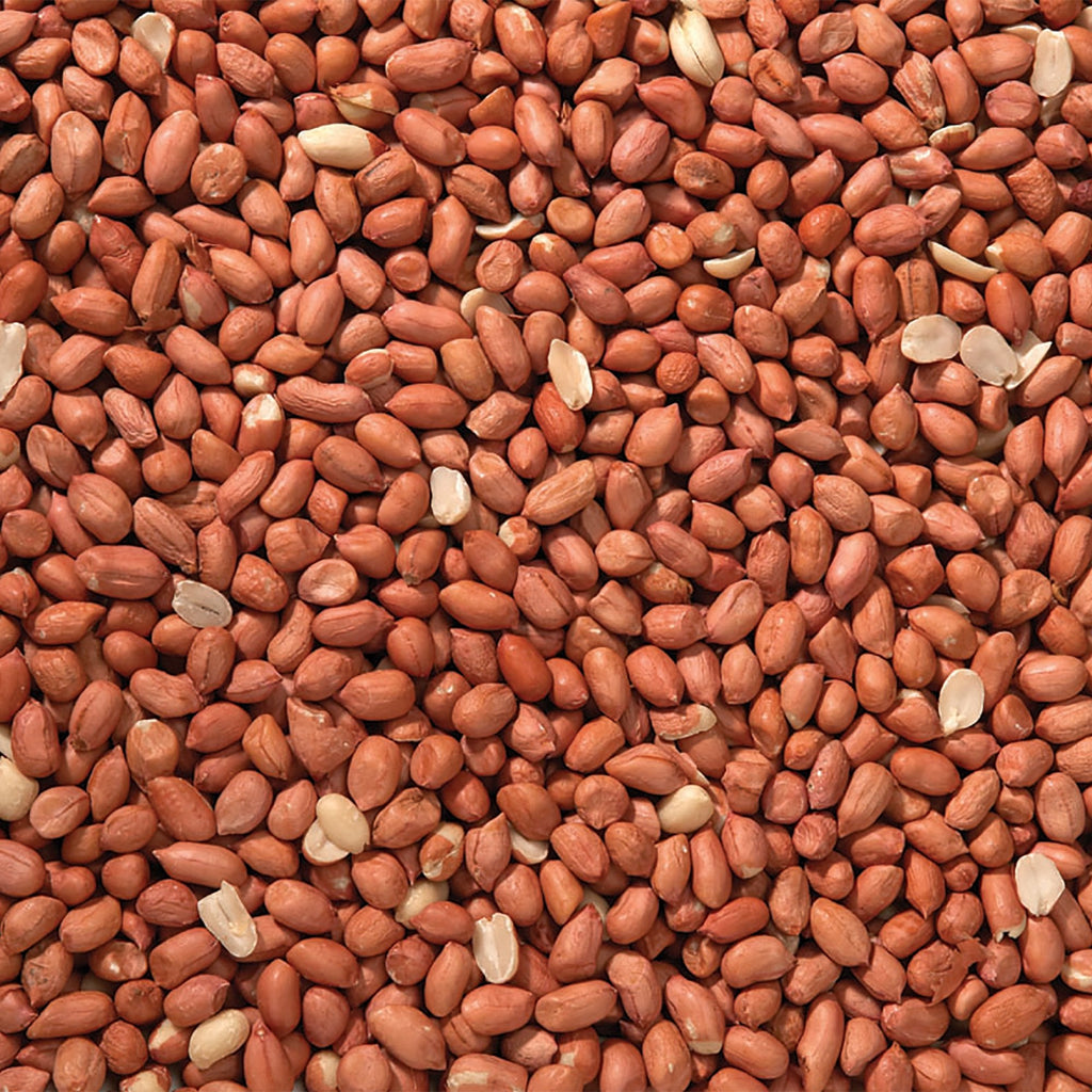 Johnston & Jeff Premium Peanuts Wild Bird Food 4kg