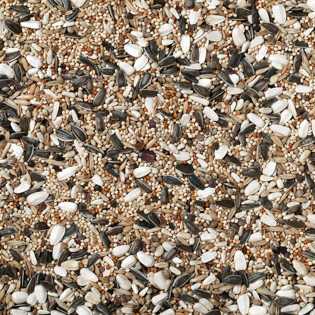 Cockatiel & Big Parakeet Bird Seed 20kg